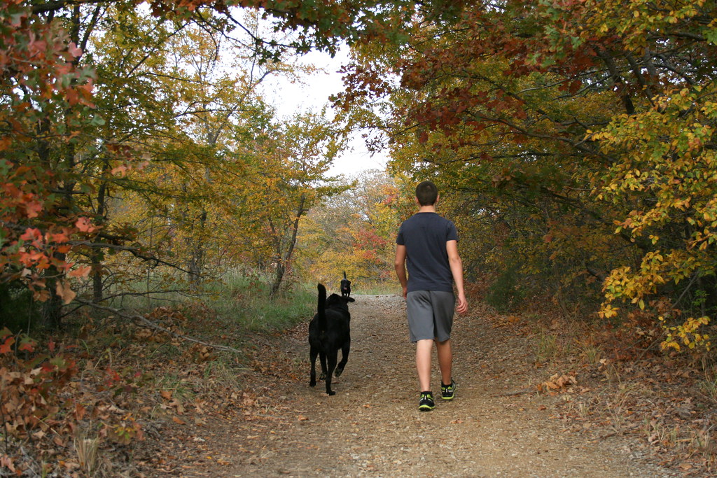 Image result for hiking with dogs