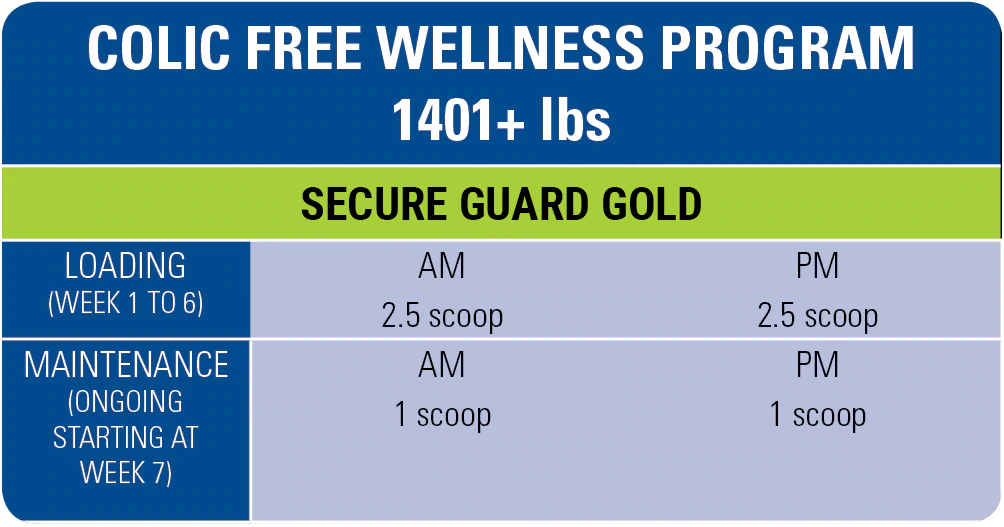 free3-wellness-program-1401