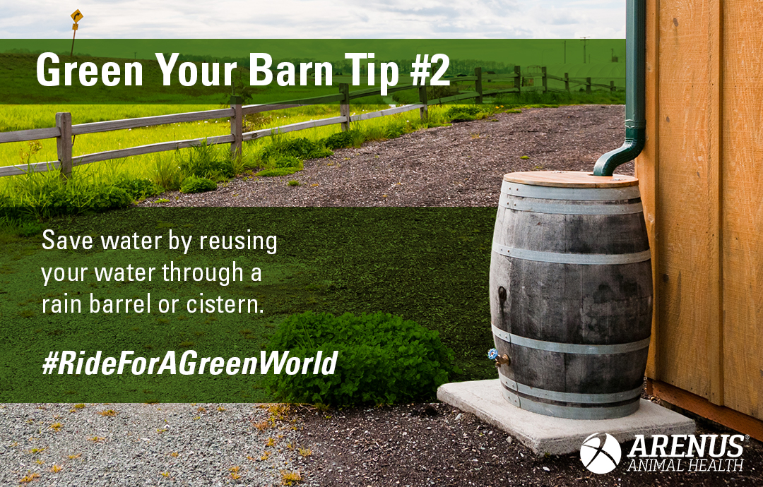 Tips for an earth-friendly barn 