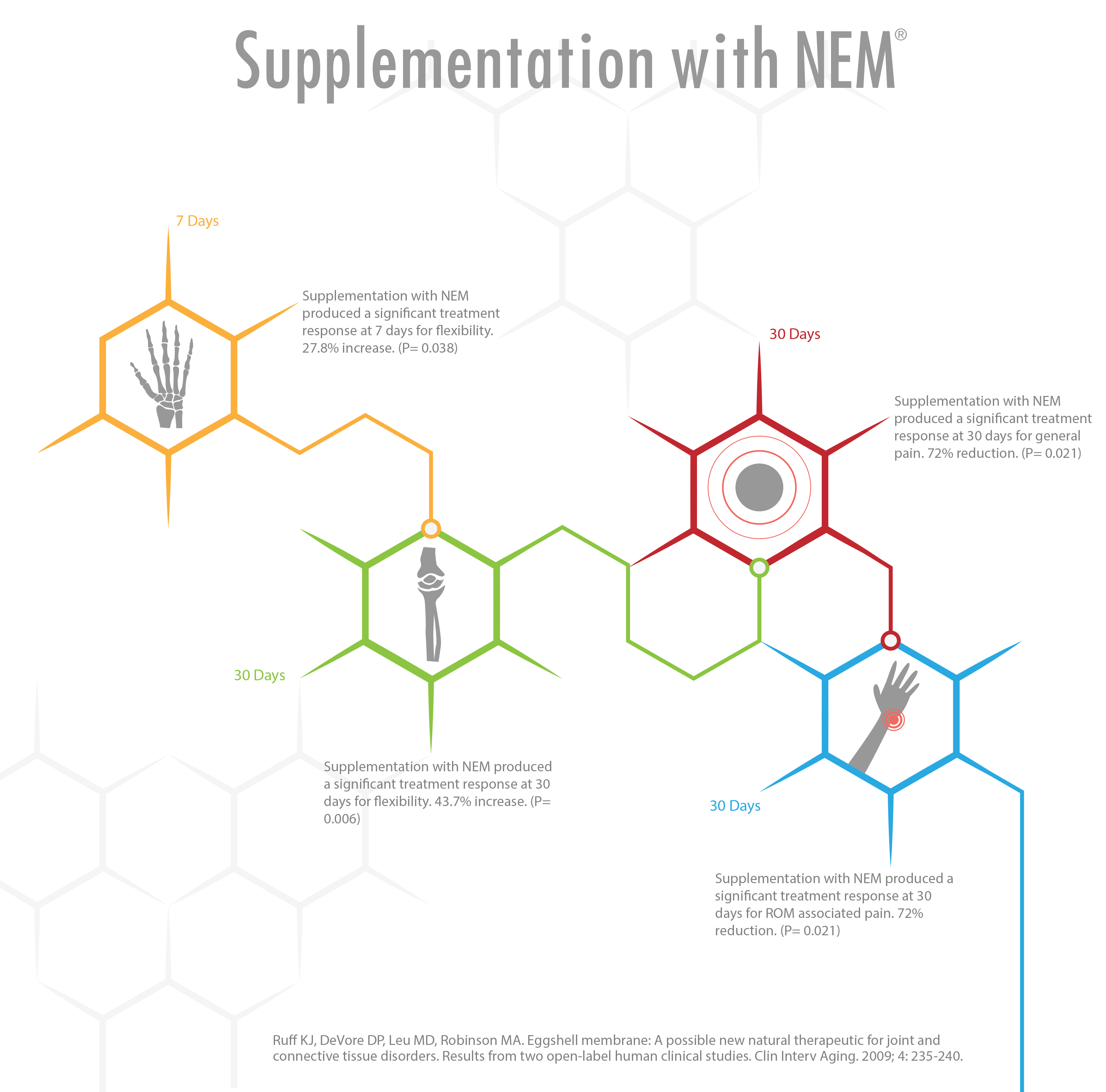 steadfast-nem.jpg