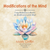Cover art for Modifications of the Mind by Mark Griffin, focusing on meditation and pure consciousness from the Summer Solstice Retreat.