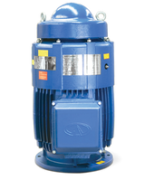 MOTOR, VHS - 75HP, AURORA, PE MOTOR, VHS - 75HP, AURORA, PE
