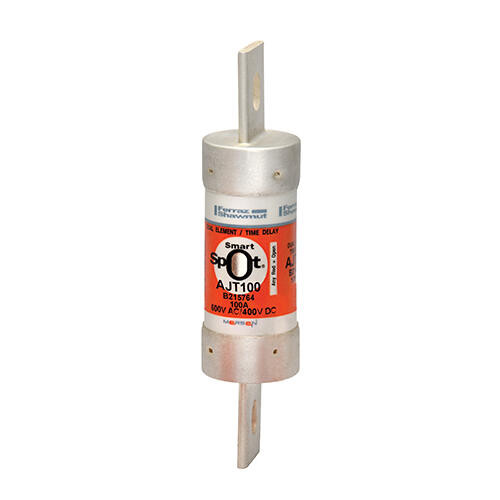 FUSE, 100A - 600VAC/500VDC, FUSE, 100A - 600VAC/500VDC,