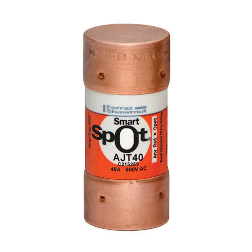 FUSE, 40A - 600VAC/500VDC FUSE, 40A - 600VAC/500VDC