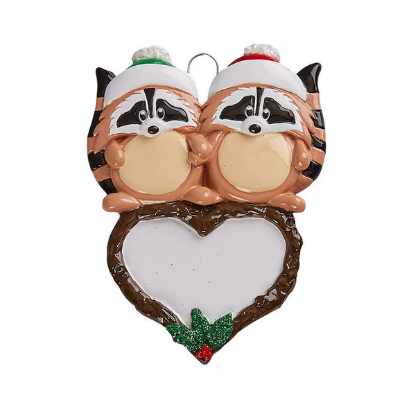 Racoon Couple
