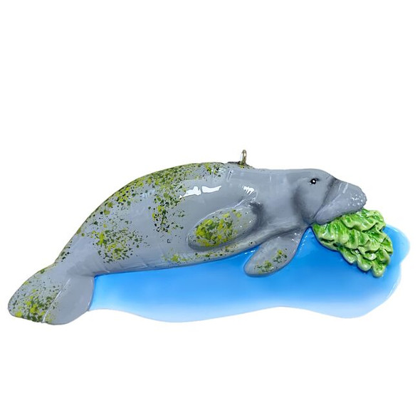 Manatee In Water