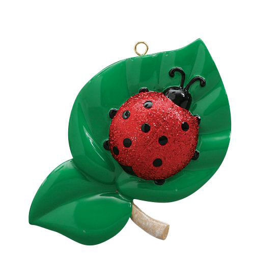 Ladybug