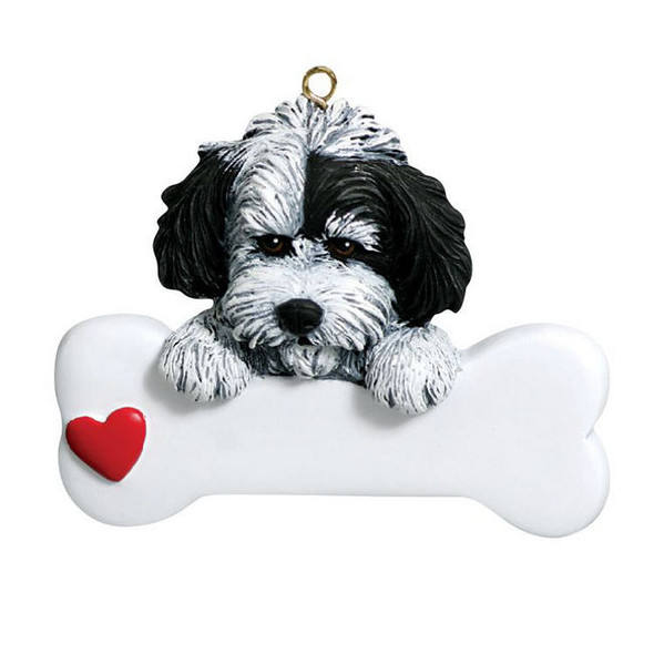 Havanese