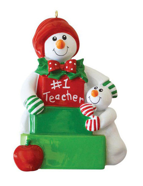 Snow Teacher