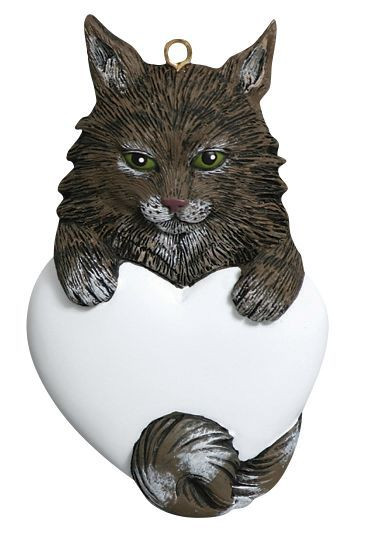 Maine Coon Cat