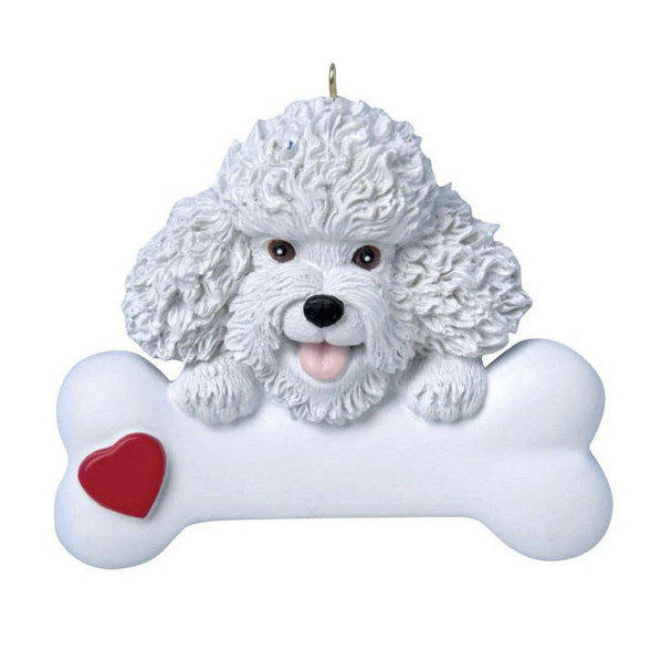 Bichon Frise