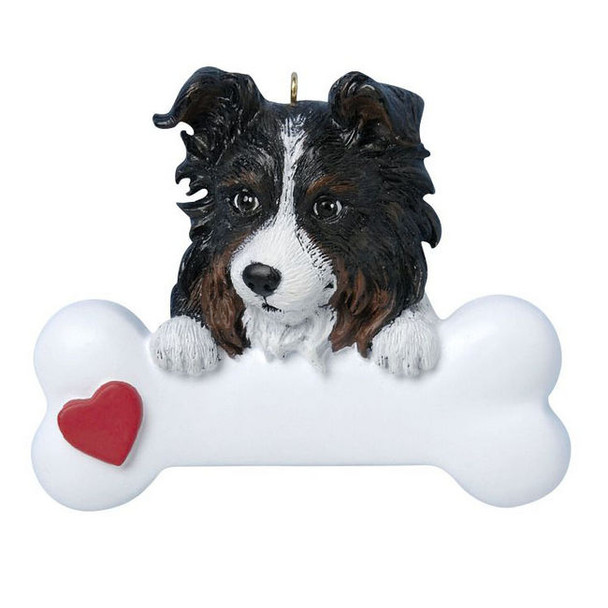 Austrailian Sheepdog