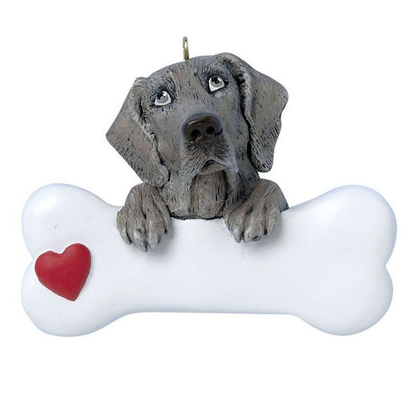 Weimaraner
