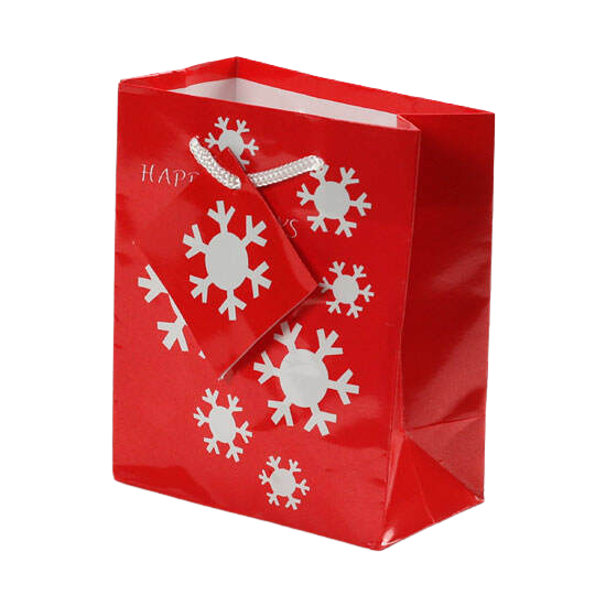 Red Gift Bag - Set Of 12