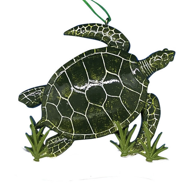 Sea Turtle