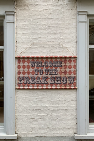 Wall Art - Freak Show Sign