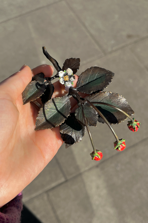 Bronze Wild Strawberries Miniature