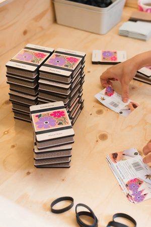 Pocket Flower Press - Cosmos