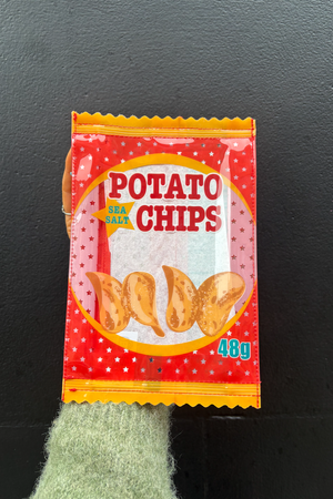 Potato Chips Pouch
