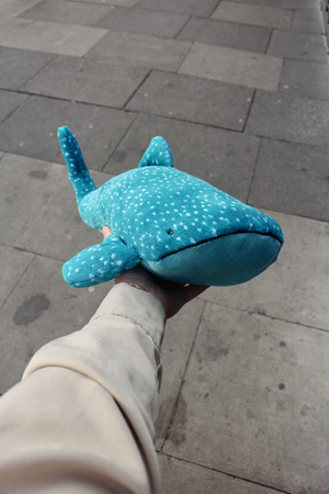 Gobfrey Whale Shark