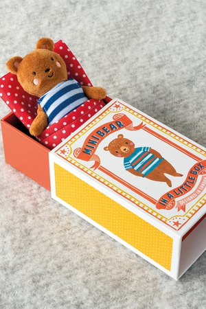 Mini Bear in Little Box