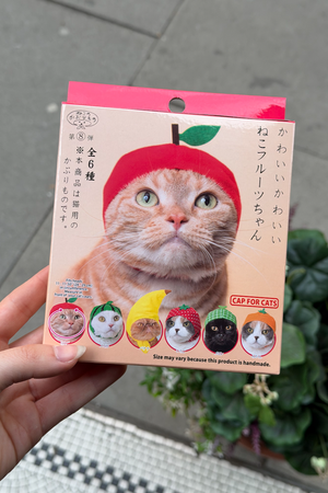 Kitten Club Blind Box - Fruit Hats