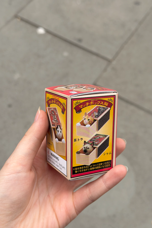Cats in Matchbox Blind Box
