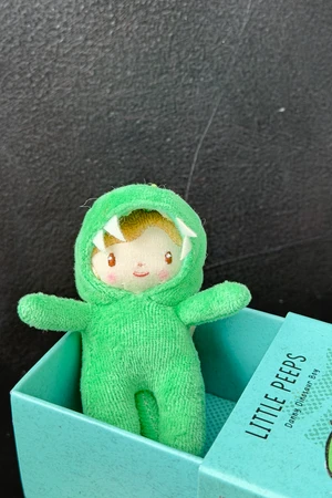 Little Peeps - Danny Dinosaur Boy