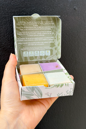 Botanical Soaps - Set of 4
