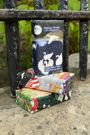 Natural Illustrated Soap