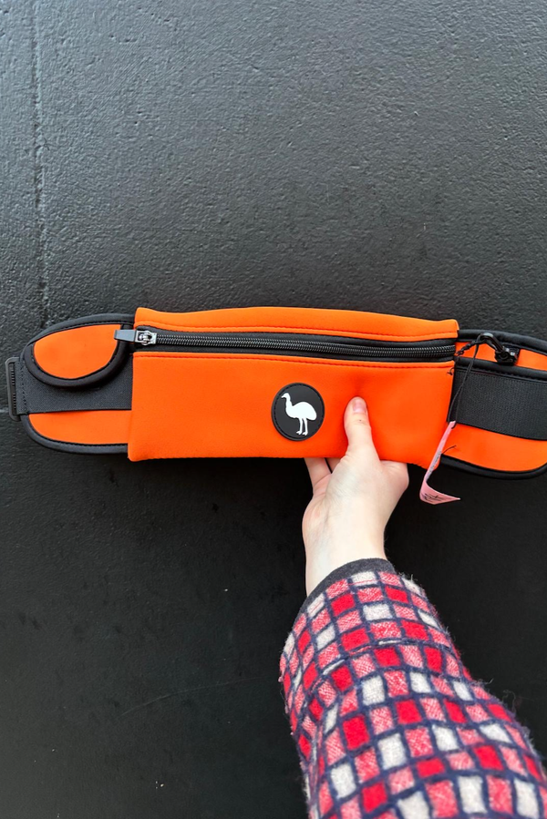 Running Belt
