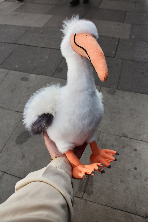 Keli Pelican