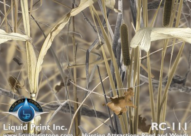 RC-111  Reeds and Weeds