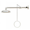 Wall Mounted Safety Shower - Stainless Steel