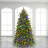 9 ft. Rochester Fraser Fir Full Christmas Tree LED Dual, 1300 Lights