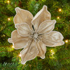 In-Store Only - 24 Inch Iced Champagne Magnolia Pick