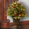 National Tree Company 24 in. Colonial Porch Bush with 50 Clear Lights