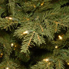 National Tree Company 4 ft. Nordic Spruce Entrance Tree with 100 Clear Lights