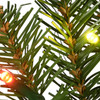National Tree Company 9 ft. Norwood Fir Garland with 50 Multicolor LED Lights