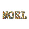 National Tree Company 36 in. NOEL Decoration 21 LED Lights