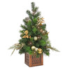 National Tree Company 3 ft. Christmas Yuletide Glam with 35 LED Lights