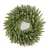 National Tree Company 24 in. Dunhill Fir Wreath with 50 Clear Lights