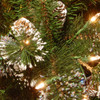 National Tree Company 24 in. Glittery Pine Garland with 100 Clear Lights