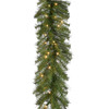 National Tree Company 9 ft. Norwood Fir Garland with 100 Clear Lights