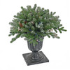 National Tree Company 24 in. Snowy Morgan Spruce Porch Bush with 50 Twinkly LED Lights