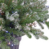 National Tree Company 24 in. Snowy Morgan Spruce Porch Bush with 50 Twinkly LED Lights