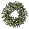 National Tree Company 30 in. Snowy Morgan Spruce Wreath with 50 Twinkly LED Lights