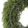 National Tree Company 24 in. Arborvitae Wreath