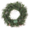 National Tree Company 24 in. Whitter Pine Wreath with 50 LED Lights