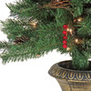 National Tree Company 4 ft. Glistening Pine Entrance Tree with 50 Clear Lights